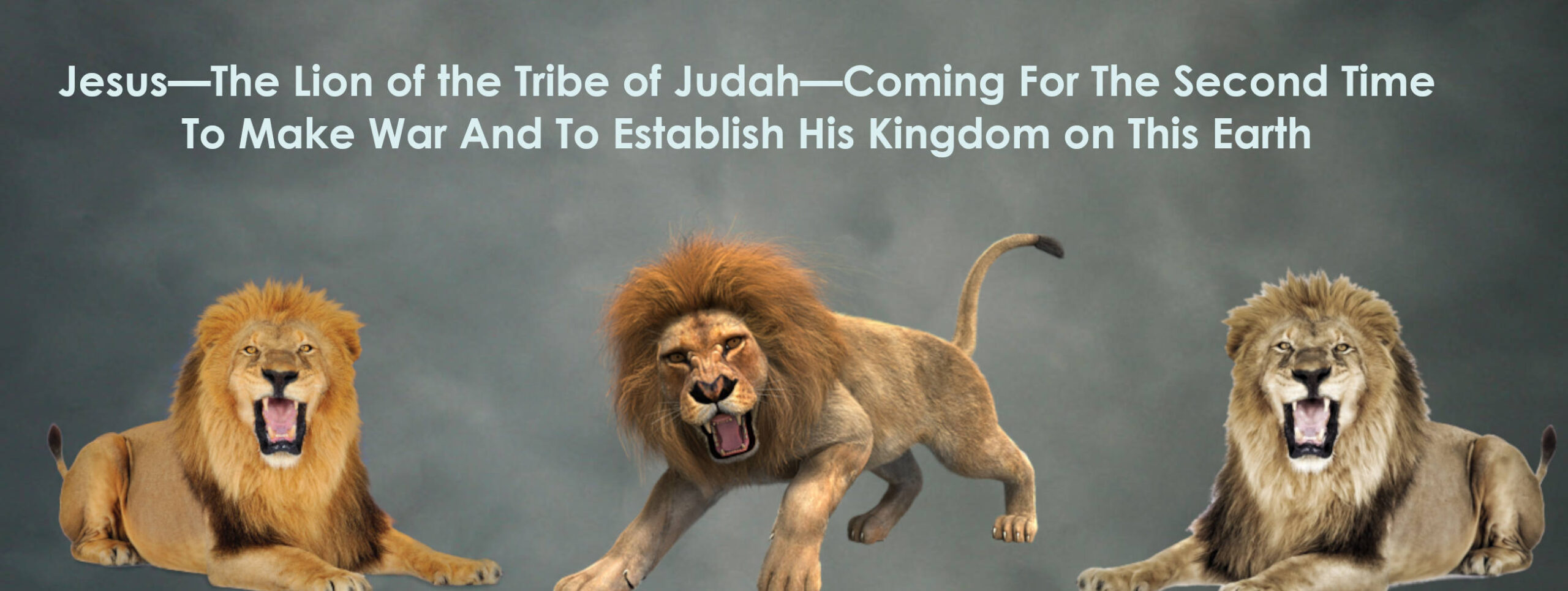 the lion of judah2